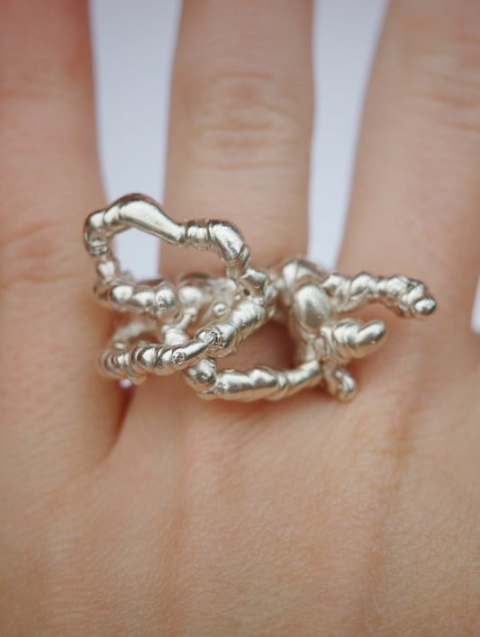 Ursula's Ring